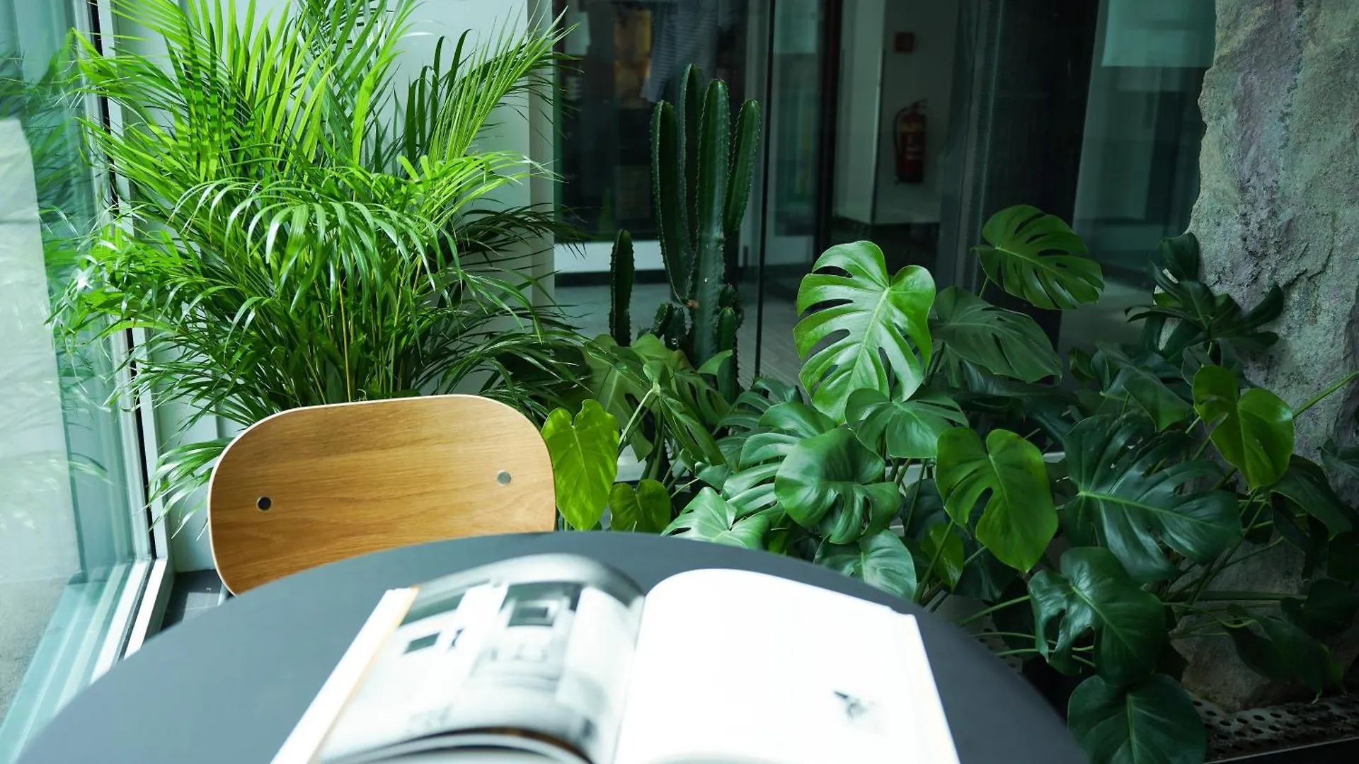 Design & Budget Hotel Wien Schoenbrunn